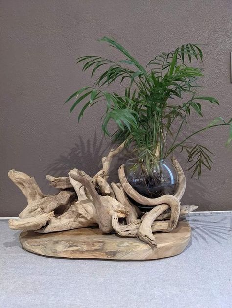 Driftwood Sculptures: Let your creativity flow by sculpting driftwood into unique shapes or figures. You can use simple hand tools to carve and shape the wood, then display your sculptures as standalone art pieces.  Hashtags:   #DIY #HomeDecor #DriftwoodArt #ScrapWoodProjects #DIYDecor #Crafting Driftwood And Flowers, Projects With Scrap Wood, Takken Decor, Driftwood Art Sculpture, Driftwood Sculptures, Projects For Home, Air Plants Decor, Beach Themed Crafts, Driftwood Diy