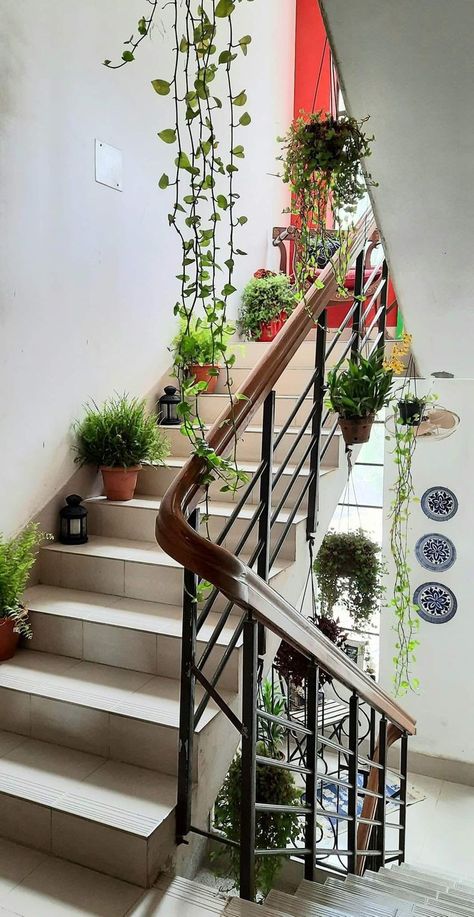 Indian Staircase Decor, Stairs Plants Indoor Stairways, Staircase Plants Indoor, Stairs Wall Decor Ideas, Colorful Room Decor, Indian Room Decor, Indian Bedroom Decor, نباتات منزلية, India Home Decor