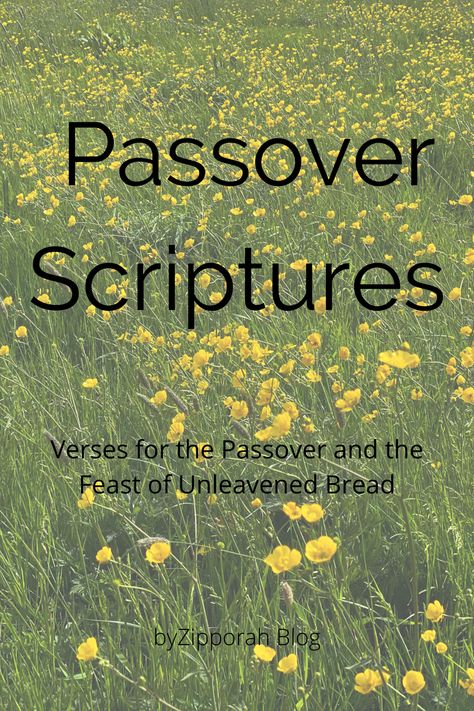 Passover Bible Verse, When Is Passover 2024, Passover Quotes Scriptures, Happy Passover Images, Passover Sedar, Passover Quotes, Passover Christian, Passover Decor, Passover Art