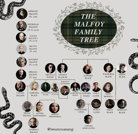 Malfoy Family Tree, The Malfoy Family, Harry Potter Family Tree, Harry Potter Script, Harry Potter Quotes Funny, Rabastan Lestrange, Malfoy Family, Harry Potter Spells, Harry Potter Tumblr