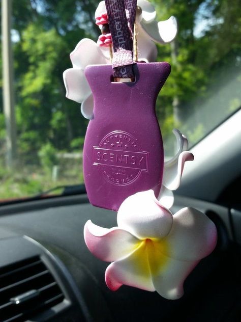 Scentsy Car Bars 2024, Car Bars Scentsy, Best Car Air Freshener, Scentsy Ideas, Selling Scentsy, Car Bar, Cool Signatures, Buy A Car, Car Smell