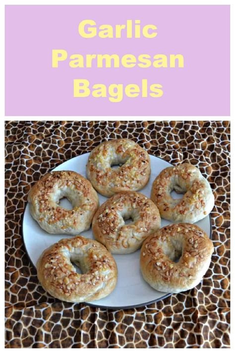 Bagel Spread Recipes, Cheddar Bagels, Types Of Bagels, Bagel Recipes, Bagel Recipe Easy, Blueberry Bagel, Sourdough Bagels, Bagel Toppings, Mini Bagels