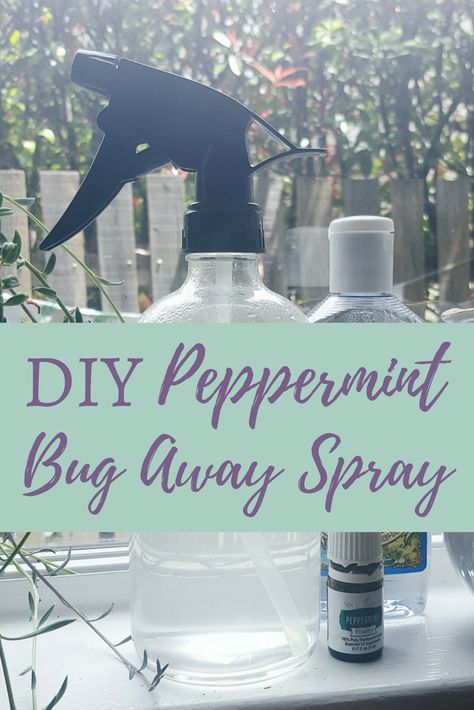 DIY Peppermint Bug Away Spray | The Witch of Lupine Hollow Spider Spray Diy, Essential Oil Sprays Diy, Diy Peppermint Oil, Peppermint Oil For Spiders, Peppermint Oil Spray, Pepermint Oil, All Natural Bug Spray, Peppermint Essential Oil Uses, Spider Spray