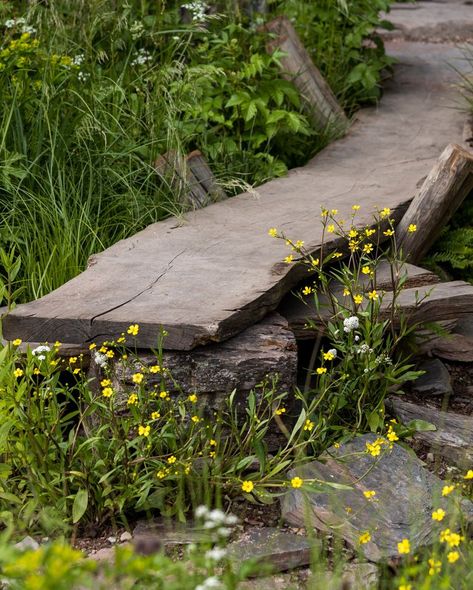 Wildflower Garden Bed, Britain Landscape, Rustic Garden Design, Garden Wild, Naturalistic Garden, Wildflower Garden, Woodland Garden, Chelsea Flower, Chelsea Flower Show