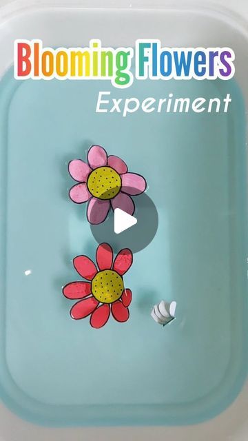 Blooming Flower Activity, Science Flower Activities Preschool, Quick Science Experiments For Kids, Flower Activities For Kids, Science Experiments Videos, Flower Activities, Folded Paper Flowers, Water Experiments, Big Jar