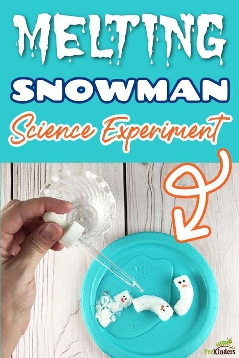 Melting Snowman Science Experiment : Pre-K Ideas Snowman Science Experiment, Winter Lesson Plan, Snowman Theme, Melting Snowman, Winter Science, Winter Activities Preschool, Melting Snowmen, Preschool Science Activities, Science Experiments For Preschoolers