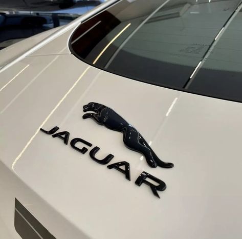 Jaguar Car Aesthetic, Good Looking Cars, Buick Cars, Luxury Car Brands, Exterior Car Accessories, Jaguar Xe, Reliable Cars, Jaguar F Type, Jaguar Car