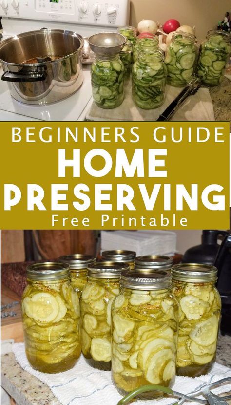 Grab your free canning guide to learn how to do home canning and preserve your own food.  Stock your pantry with home canned foods. Canning Guide, Canning Pressure Cooker, Canning Granny, Diy Canning, Stock Your Pantry, Home Canning Recipes, Canned Foods, Canning Vegetables, Canning Food