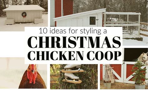 When most of us start decorating for Christmas, we usually just decorate typical things: putting up a Christmas tree, placing a wreath on the door, … Old Chicken Coop, Chickens In The Winter, Fluorescent Tube Light, Egg Laying Chickens, Backyard Flocks, Chicken Chick, Decorating For Christmas, Artificial Boxwood, Chicken Diy