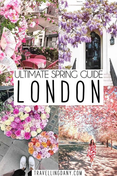 England In Spring, Spring In England, London Spring Aesthetic, London Wisteria, London Travel Photography, London In April, Wisteria London, London In May, London In Spring