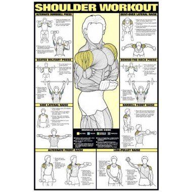 Shoulder Workout 24" X 36" Laminated Vertical Aquaponics, Arm Training, Fitness Studio Training, Shoulder Workouts, Trening Sztuk Walki, Gym Antrenmanları, Muscle Abdominal, Training Fitness Gym, Muscles In Your Body