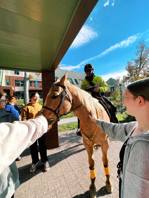 college | Skidmore College | campus | college campus | college life | campus life | student | upstate NY | Saratoga Springs | New York | upstate New York | horse | police horse Skidmore College, Upstate Ny, Saratoga Springs, College Campus, Upstate New York, Photo Diary, College Life, Life Is Beautiful, The Ordinary