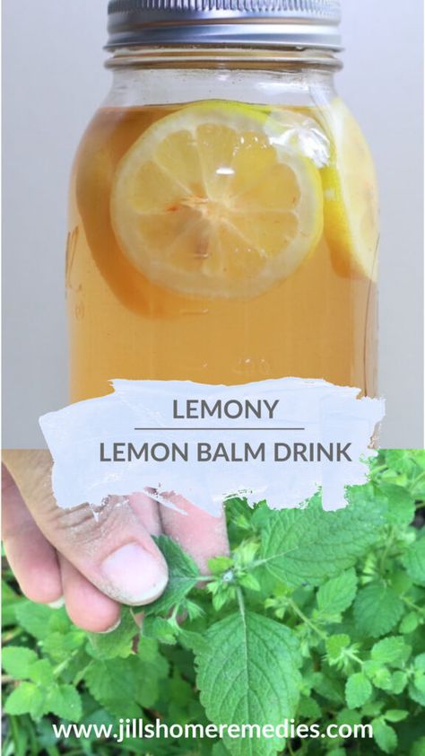 Blended Lemon Drink, Easy Holistic Meals, Lemon Balm Recipes, Flowers Recipes, Acreage Living, Teas Recipes, Lemon Balm Tea, Herbal Remedies Recipes, Medicinal Herbs Garden