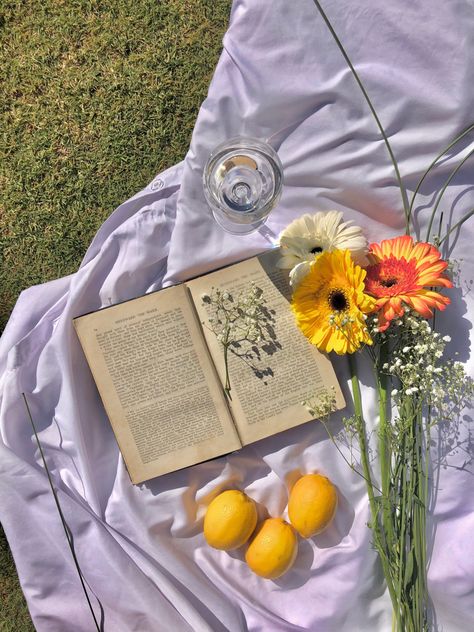 Flower Picnic Aesthetic, Briana Core Aesthetic, Celeste Core, Patricia Core, Bridget Core, Briana Core, Server Aesthetic, Daisy Core, Flower Child Aesthetic