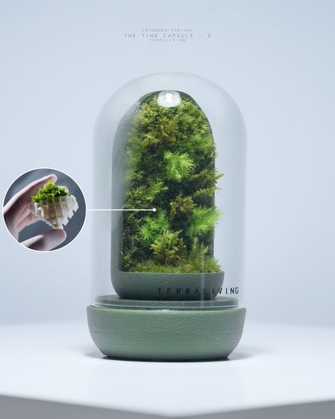 [Live Moss Terrarium] The latest addition to the Time Capsule - S family (CryoMoss Variant) features a futuristic, space-age minimalist weighted base with a richly textured 3D-printed surface inspired by how moss grows naturally over hard surfaces in the wild. Its main module is easily detachable from its base to pour off excessive water and is future-proof where you can replace just the main module itself. 🌳 About CryoMoss & Time Capsule planting system: 1. CryoMoss is a dormant live moss... Futuristic Space, Moss Terrarium, Time Capsule, Space Age, In The Wild, 3d Print, 3d Printed, Terrarium, Planting