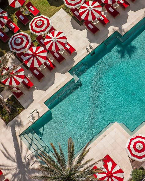 Iconic from every POV. ⁠🌹 📍 Faena Miami Beach ⁠ ⁠ Pool scenes are made serene at our legendary Faena pool. A symphony of luxury and… | Instagram Faena Miami, Faena Hotel Miami, Miami Pool, Faena Hotel, Red Luxury, Volunteer Travel, Miami Hotels, Retro Disney, Beach Events