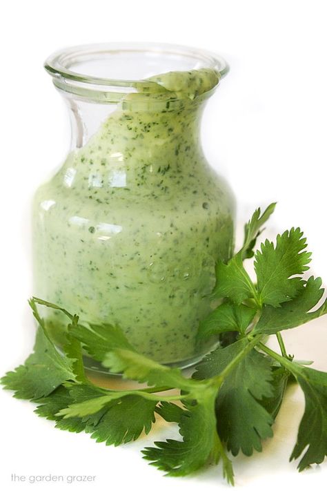 Creamy Cilantro-Lime Dressing (Vegan) - The Garden Grazer Southwestern Chopped Salad, Garden Grazer, Lime Salad Dressing, Creamy Cilantro Dressing, Southwestern Salad, Cilantro Dressing, Thai Salads, Cilantro Lime Dressing, Homemade Salads