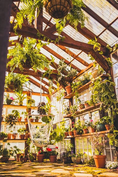 Greenhouse As Living Space, Yard Greenhouse, Greenhouse Aesthetic, Dream Greenhouse, Vaughan House, Outdoor Greenhouse, Home Greenhouse, Virginia Wedding Venues, Backyard Greenhouse