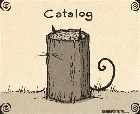 Library Humor, Punny Puns, Visual Puns, Cat Puns, Cute Puns, Cat Comics, Cat Beds, Cartoon Jokes, Funny Puns