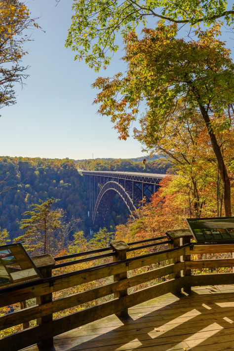 From breathtaking overlooks to rewarding hikes, soak in the stunning fall foliage and sunset views in the New River Gorge this fall. 🍁🌄 West Virginia Photography, Virginia National Parks, New River Gorge National Park, Vibrant Landscape, Fall Pics, New River Gorge, Red River Gorge, Scenic Photography, New River