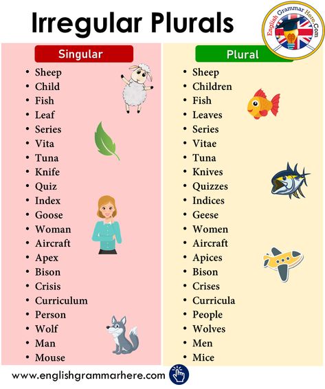 Irregular Nouns, Irregular Plural Nouns, Irregular Plurals, Singular And Plural Nouns, Teaching English Grammar, Singular And Plural, Plural Nouns, English Language Teaching, English Lessons For Kids