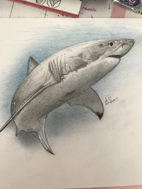 Shark Drawing Color Pencil, Shark Realistic Drawing, Shark Drawing Sketches, Great White Shark Drawing, Horror Drawings, Geometry Art Design, Doodling Ideas, Woodburning Ideas, Shark Pictures