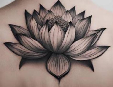 Lotus Flower Head Tattoo, Lotus Tattoo Drawing, White Lotus Flower Tattoo, Recovery Tattoos, White Lotus Tattoo, Black Lotus Tattoo, Lotus Flower Tattoo Design, Lotus Tattoo Design, Dragonfly Tattoo Design