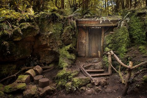 Your Secret Hideout | The Poetry Foundation Secret Hideout, Hidden Forest, Poetry Magazine, Poetry Foundation, Wood Building, Hiding Places, Backyard Inspo, Forest Art, Secret Places