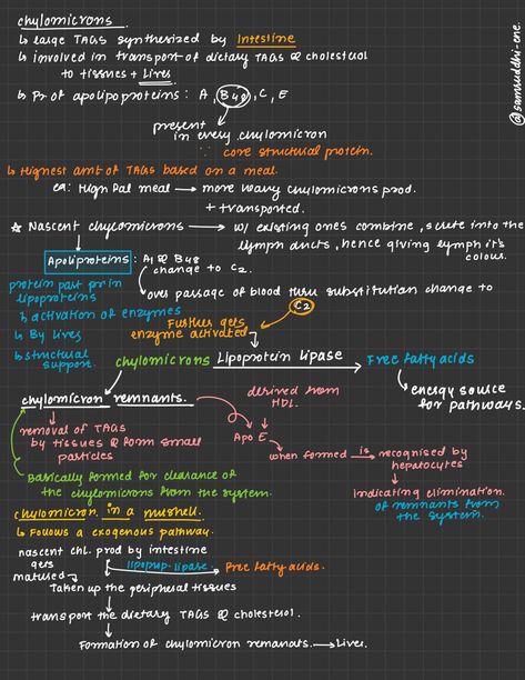 Mindmap Ideas Aesthetic Digital, Aesthetics Notes, Goodnotes Ideas, Emt Basic, Online Notes, Studying Stationary, Notes Plan, Note Ideas, Study Apps