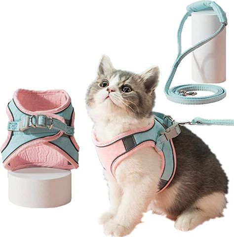 Cat Leash And Harness, Cute Cat Costumes, Cat Leash, Really Cute Puppies, Pet Kitten, Cat Harness, Cat Fashion, Cat Bag, Dog Vest