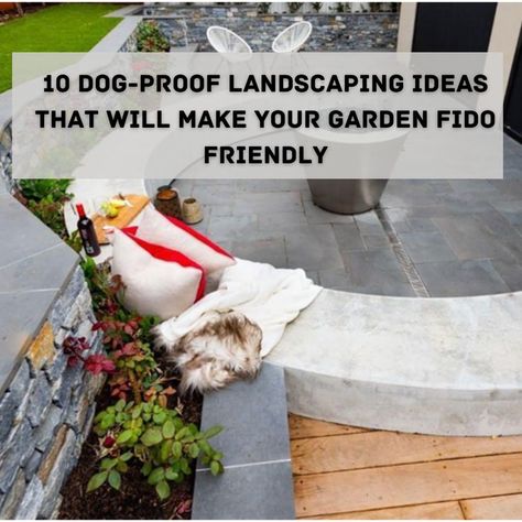 Dog Proof Backyard, Dog Friendly Backyard, Backyard Spaces, Wear And Tear, Landscaping Ideas, Backyard Landscaping, Dog Friends, Stand Up, Landscaping