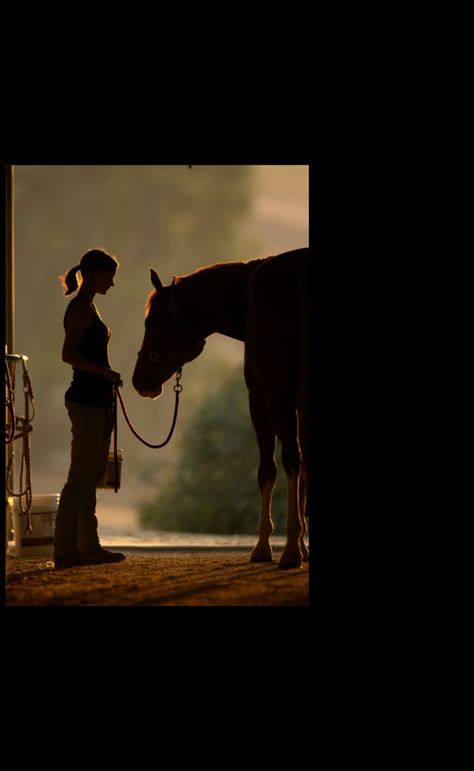 Thunderbay Riding Academy | Horse Riding Lessons, Horse Camps and Pony Parties Cinematic Horse Photography, Horse Stable Photoshoot, Model With Horse, Horse Riding Photoshoot, Horse Riding Photography, Horses Photoshoot, English Horse Riding, Horse Photography Art, Equine Photography Poses