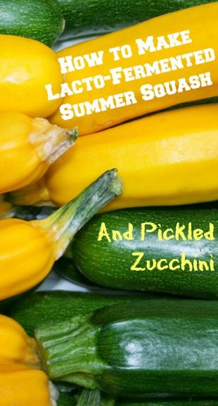 Fermenting summer squash and zucchini is a great way to preserve the bounty of the summer harvest for the colder months. #fermentation #zucchinirecipes #squashrecipes #gardening #realfood Fermenting Veggies, Pickled Zucchini, Pickled Foods, Fermented Drinks, Squash And Zucchini, Zucchini Pickles, Lacto Fermented, Fermented Veggies, Canning Food