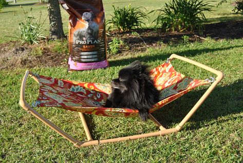 Celebrate summer outdoors with your pet thanks to this easy tutorial for a DIY pet hammock over at Sparkles of Sunshine. Animal Shelter Donations, Hammock Diy, Diy Cat Hammock, Custom Dog Beds, Dogs Diy Projects, Diy Hammock, Dog Hammock, A Hamster, Pet Hammock