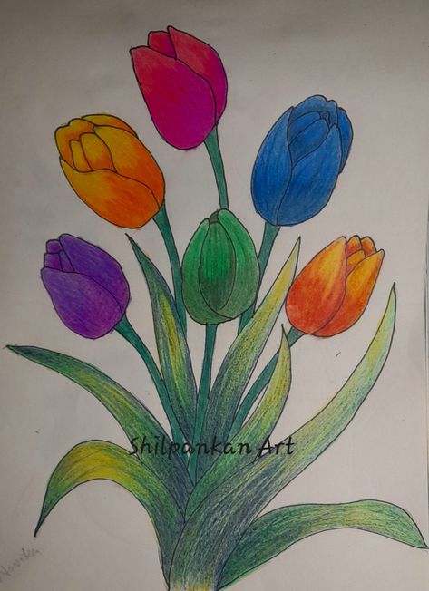 How to shading with color pencils? For kids and beginners Shading Drawing, Simple Drawings, Color Drawing Art, Pencil Shading, Art Painting Gallery, Color Pencils, Drawings Simple, Painting Gallery, Colour Tint