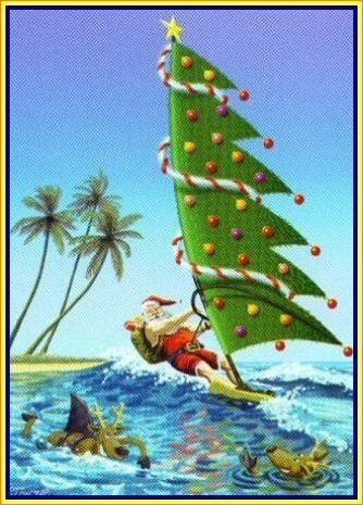 ✌✌✌ Merry Christmas Brah!!  Surf Christmas Tree, Florida Holiday, Florida Christmas, Beachy Christmas, Hawaiian Christmas, Riff Raff, Christmas Memes, Summer Christmas, Tropical Christmas