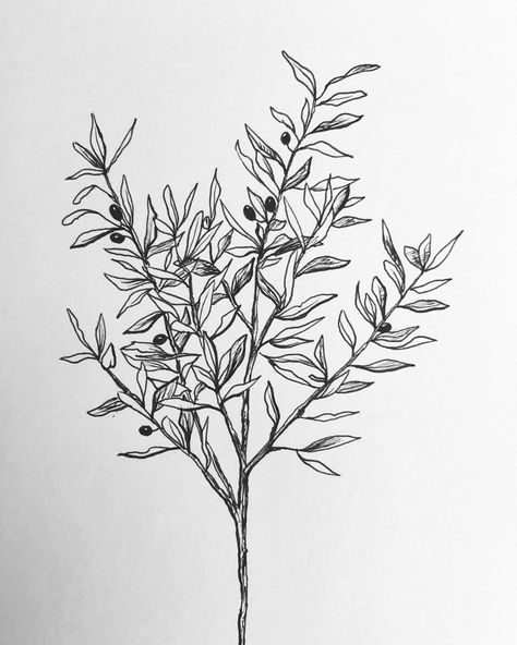 Olive Tree Branch Drawing, Olive Tree Tattoo Design, Olive Tree Sketch, Olive Tree Drawing, Olive Tree Logo, Forearm Tattoo Sleeve, Olive Tree Tattoo, Olive Tree Tattoos, Wall Drawing Ideas