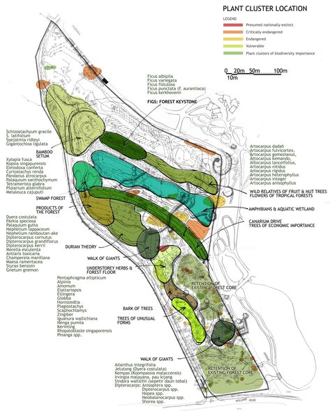 Technical Tour of the Learning Forest for Students from Réunion Island — Stephen Caffyn Landscape Design Forest Park Design, Forest Landscape Design, Landscape Design Program, Landscape Design Competition, Site Plan Design, Landscape Diagram, School Environment, Terraced Landscaping, Singapore Botanic Gardens