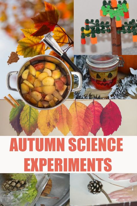 Awesome autumn science experiments for kids -  pumpkin science, trees, leaves and more easy autumn science for kids #autumnscience #fallscience #scienceforkids #seasonsactivities Fall Science Experiments, Awesome Science Experiments, Fall Science Activities, Fall Science, Cool Science, Science Experiments For Kids, Preschool Science Activities, Experiments For Kids, Fall Lessons