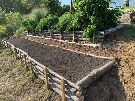 Hillside Gardens Sloped Yard, Raised Garden Beds On Hillside, Terraced Herb Garden, Raised Bed On Hill, Vegetable Garden On A Hill, Terraced Garden Beds, Garden On Hillside, Guild Planting, Raised Garden Beds On A Slope