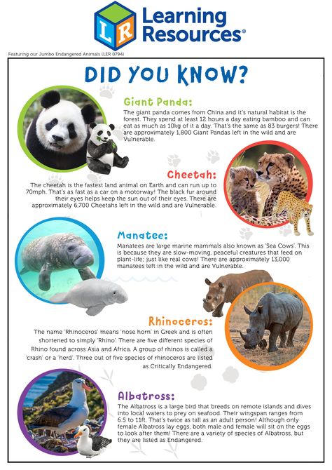 Animal Fact Sheet, Endangered Animals Project, Half Term Activities, Biomes Project, Animal Facts For Kids, Digraphs Worksheets, Zoo Book, Animal Activities For Kids, 10 Animals