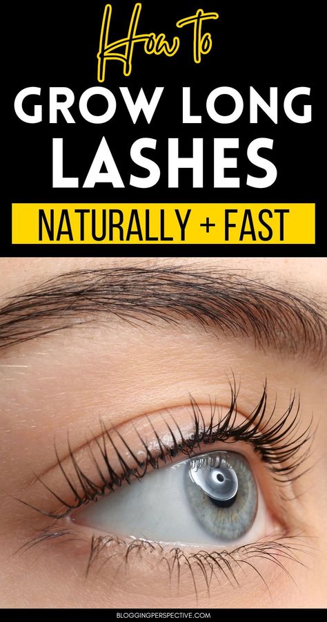 Ready for longer, healthier lashes? These 8 lash growth tips using oils will teach you how to grow eyelashes naturally. Discover the best oil for eyelash growth and make your own diy lash serum. Check out the blog for more eyelash growth tips and see how easy it is to achieve pretty lashes naturally! How To Grow Your Lashes Longer Naturally, Tips For Longer Lashes, How To Make Eyelashes Look Fuller, How To Get Longer Lashes Naturally, Natural Ways To Get Long Eyelashes, How To Grow Your Lashes Naturally, Naturally Grow Eyelashes, How To Grow Lashes Naturally, How To Make Your Lashes Grow