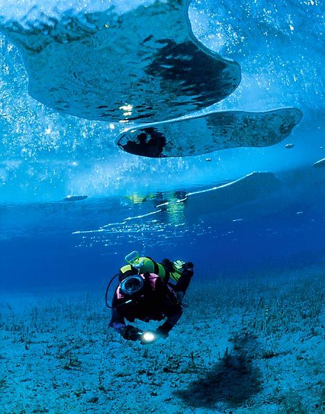 Fed up of skiing? Try the next big thing: ice diving OOOOO NOW THATS MY KIND(a) WINTER SPORT! Great Barrier Reef Snorkeling, Underwater Pictures, Underwater Diving, Sea Diving, Deep Sea Diving, Bahamas Vacation, Cave Diving, Scuba Diving Gear, Maui Vacation