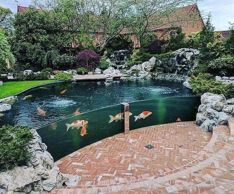 Outdoor Fish Tank, Outdoor Fish Ponds, Small Fish Pond, Fish Ponds Backyard, Small Backyard Ponds, Koi Pond Design, Fish Pool, Fish Pond Gardens, Kolam Koi