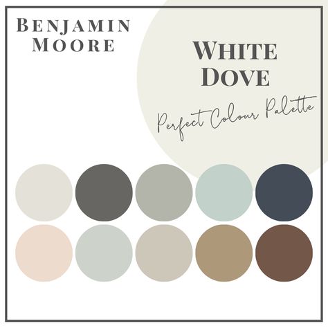 White Dove - Perfect Colour Palettes - Claire Jefford Benjamin Moore Paint Colours, Wickham Gray, Benjamin Moore Coventry Gray, Benjamin Moore Grey Owl, Van Deusen Blue, Coventry Gray, Stonington Gray, Cornforth White, Palladian Blue