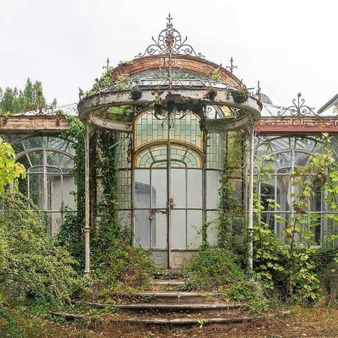 Greenhouse Aesthetic Victorian, Greenhouses Ideas, Studio Greenhouse, Aesthetic Greenhouse, Greenhouse Studio, Greenhouse Aesthetic, Greenhouse Panels, Greenhouse Vegetables, Victorian Greenhouse