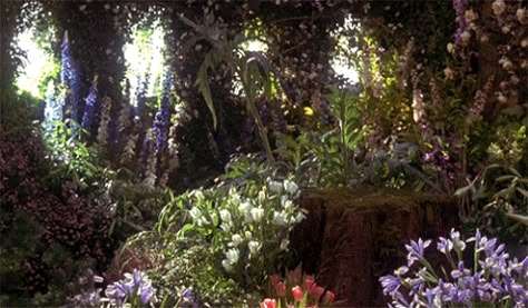 The Secret Garden 1993, The Secret Garden, Aesthetic Gif, Narnia, South Florida, The Valley, Secret Garden, A Garden, Diy Garden