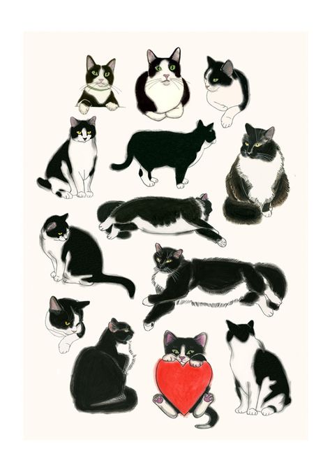 I Heart Tuxedo Cats! Tuxedo Cat Poster, Tuxedo Cat Art Illustration, Tuxedo Cat Drawing Simple, Tuxedo Cat Tattoo Designs, Cat Tattoo Tuxedo, Tuxedo Cat Illustration, Tuxedo Cat Wallpaper, Black And White Cat Tattoo, Black And White Cat Illustration