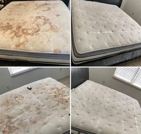 The Trick to Cleaning a Mattress: Getting Rid of Stains, Dust Mites, and Bad Odors – Page 2 – Better Homes & Gardens Cleaning A Mattress, Clean Mattress Stains, Mattress Stains, Easy Zucchini Recipes, Grandma's Recipes, Crowd Pleasing Recipes, Bottle Cleaner, Mattress Cleaning, Bad Odor