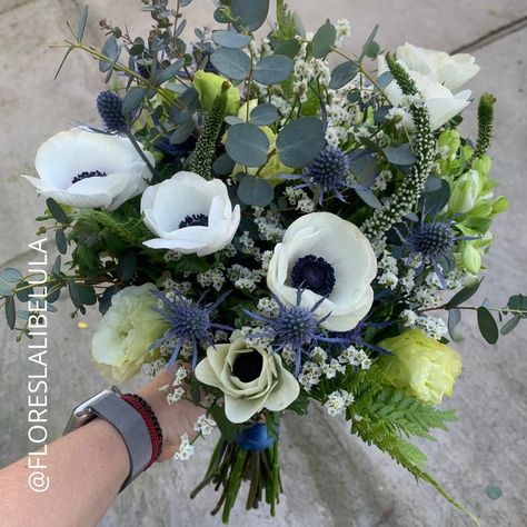 Ramo para nuestra simpatiquísima novia @trinibolzmann , un ramo muy de temporada lleno de anémonas y azules para la suerte ¡quedó precioso! Después les mostraremos lo linda que se veía😍 Desliza 👉🏻para ver el boutonniere que combina perfecto con su ramo🍃 . . #ramosdenoviaentendencia #ramoconamapolas #noviaschile Boutonniere